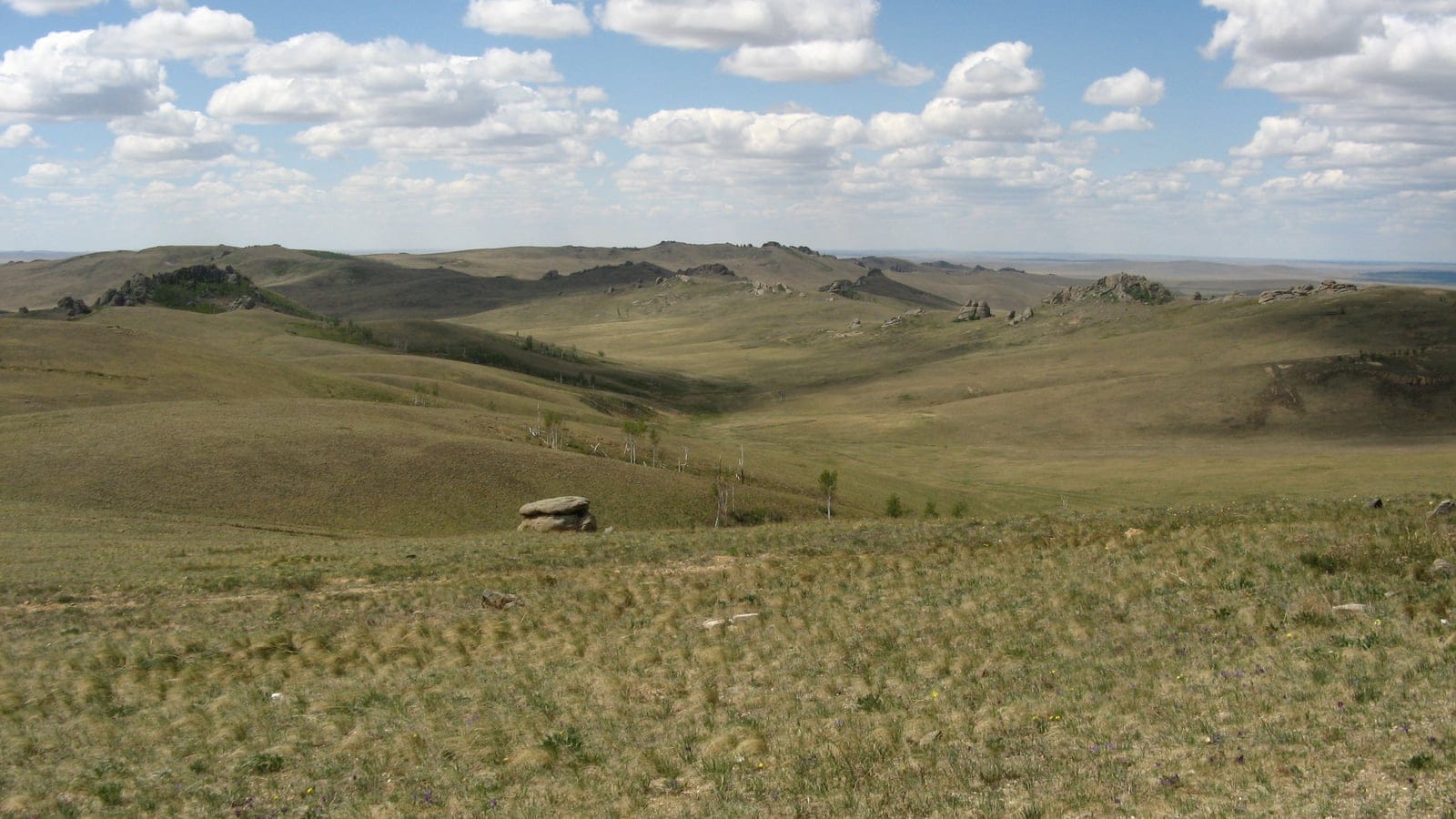 Open Daurian forest-steppe with rocky outcrops and sparse woody cover.