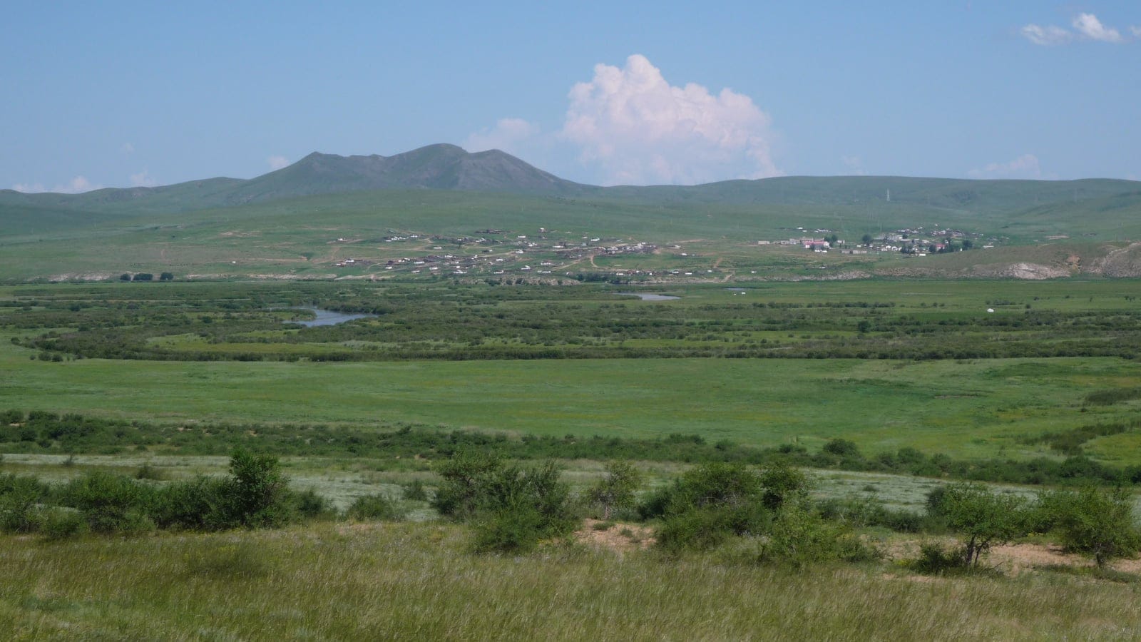 Green steppe meadow and riverside willow scrub below rolling hills at Orkhon, Selenge Province, Mongolia.
