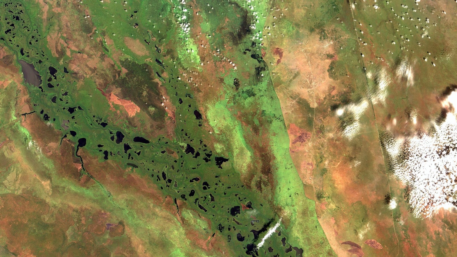 Satellite view of braided channels, dark lagoons and green swamp in the southern Sudd, South Sudan.