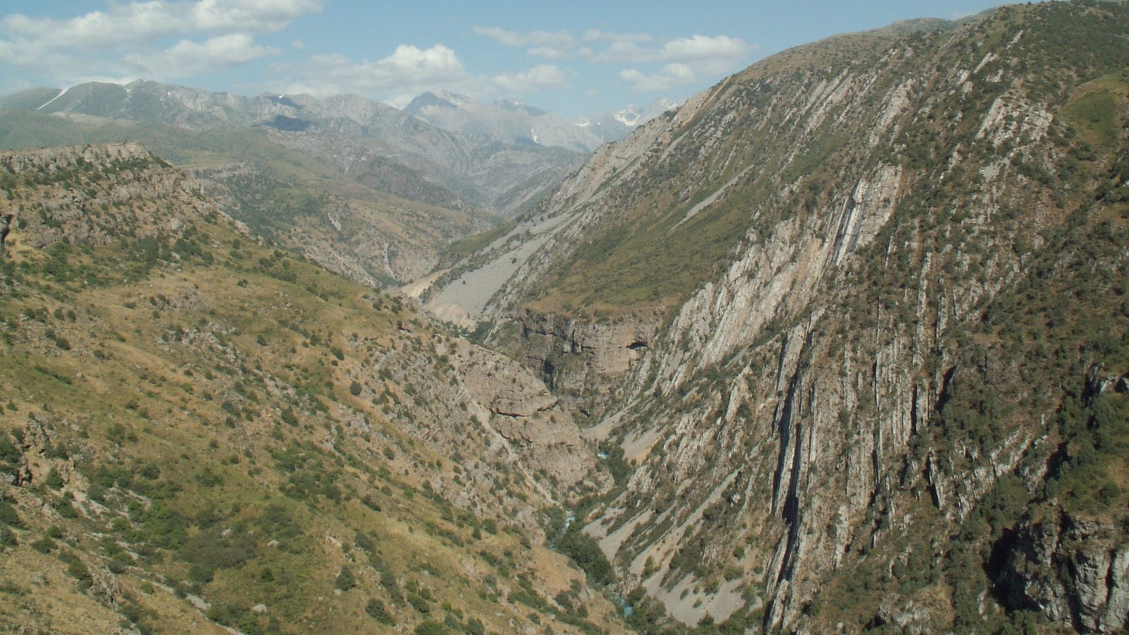 Dry grass slopes and scattered shrubs above a limestone gorge at Aksu-Zhabagly, Kazakhstan.