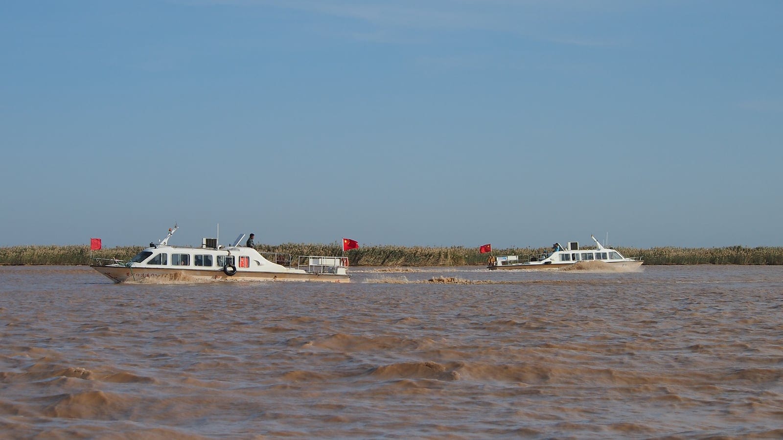 Two tour boats running on silt-laden brown water with a reed bed behind, Yellow River delta, Shandong, China.