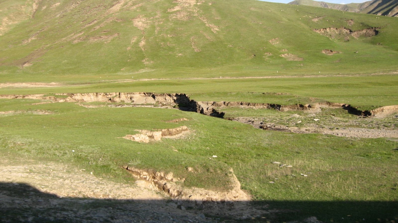 Open alpine steppe on the Qinghai-Tibet Plateau.