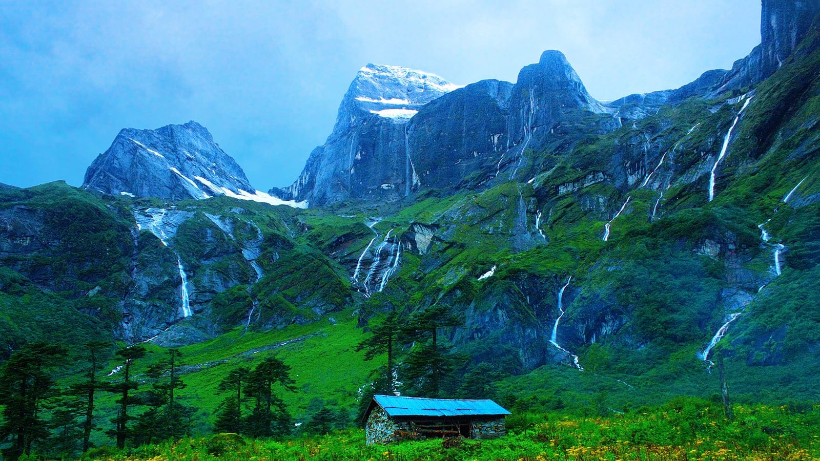 Eastern Himalayan alpine shrub and meadow landscape in Barun Valley.