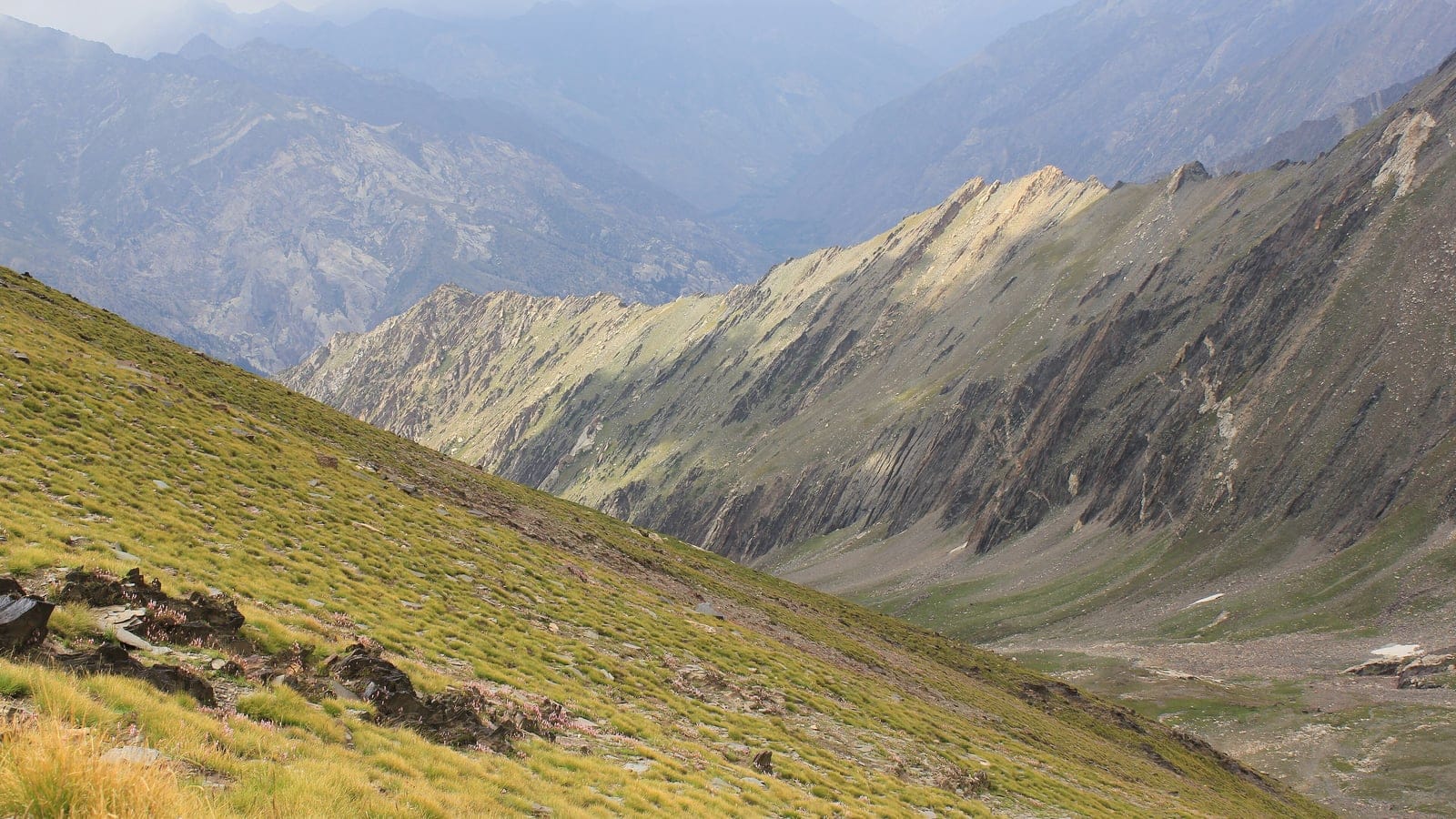 Alpine grass and cushion flowers on a steep slope above the Waygale Valley, Nuristan, Afghanistan.