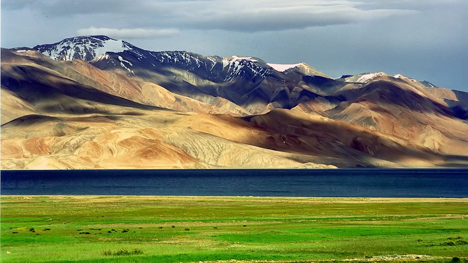 Green alpine sedge meadow fringing a deep blue lake below arid ochre ridges on the Karakoram to west Tibetan plateau.