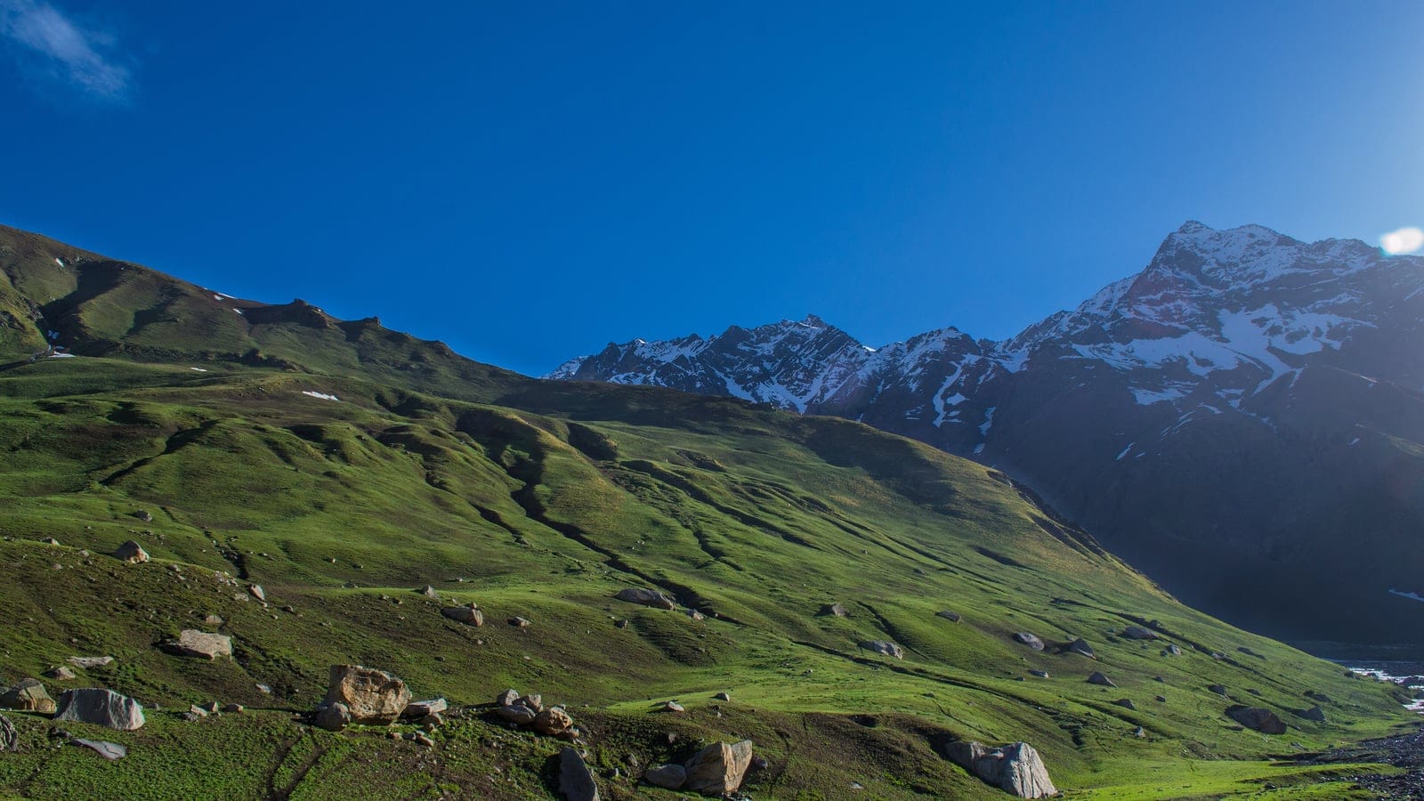 Alpine meadow and scattered boulders below snow peaks in the northwestern Himalaya.