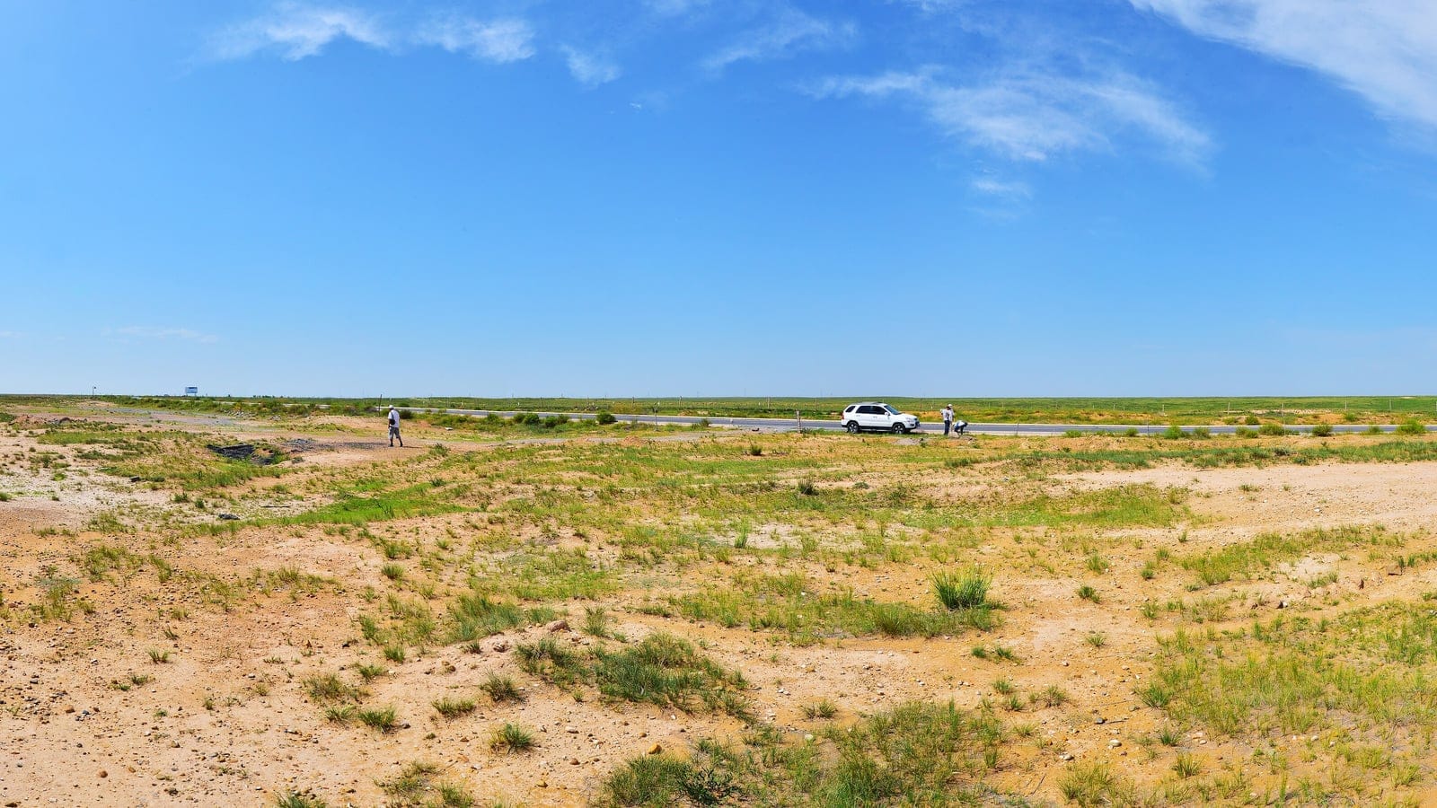 Sparse bunchgrass on sandy ground beside a highway in Otog Banner, Ordos, Inner Mongolia.