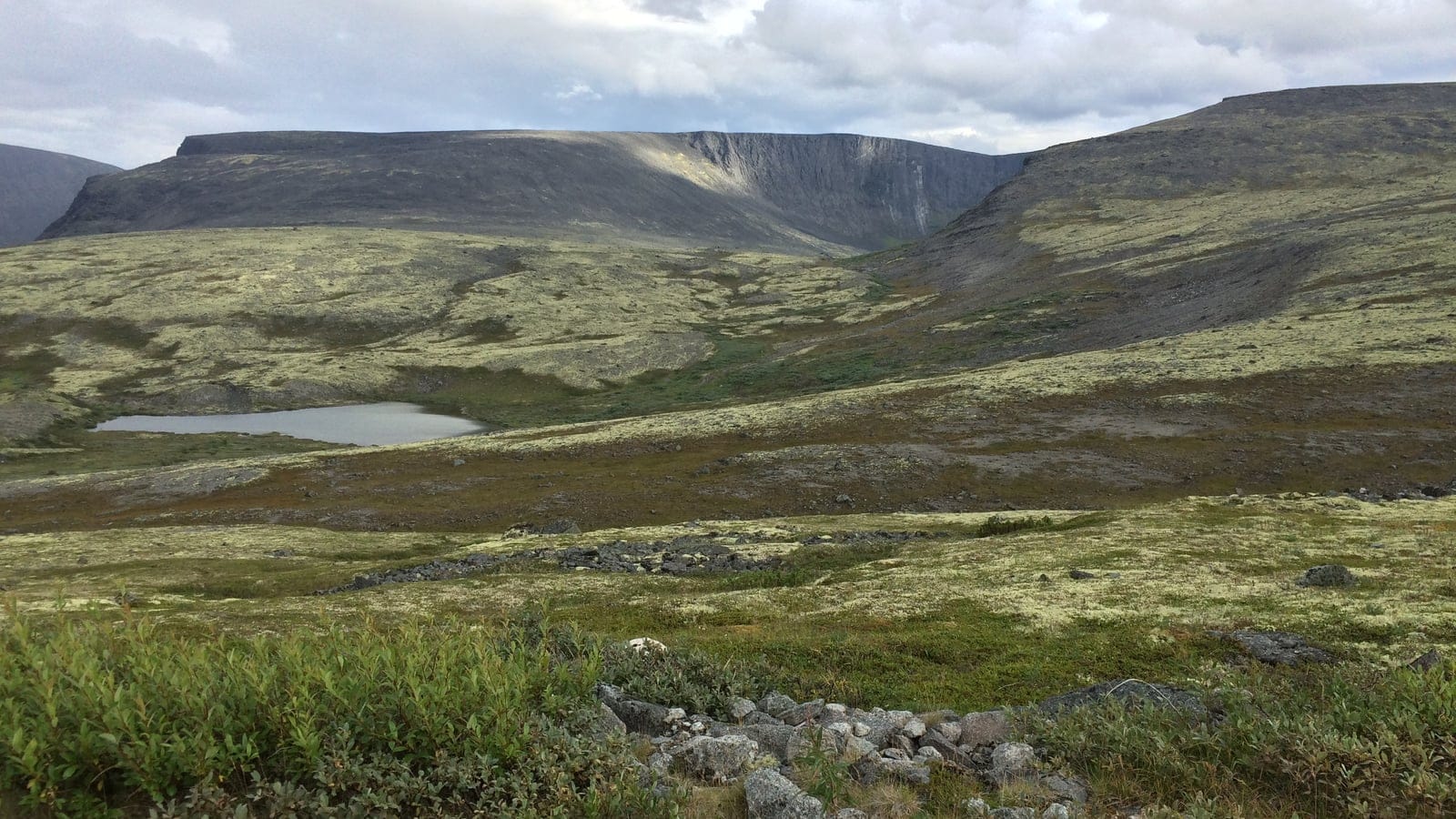 Lichen heath and dwarf shrub tundra below the Lovozero plateau, Kola Peninsula.