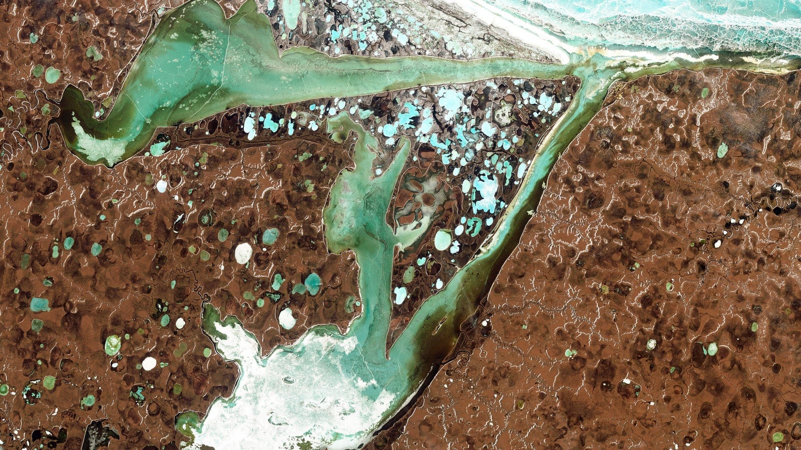 Satellite view of thermokarst lakes and tundra flats behind Omulyakhskaya and Khromskaya Bays, northern Siberia.