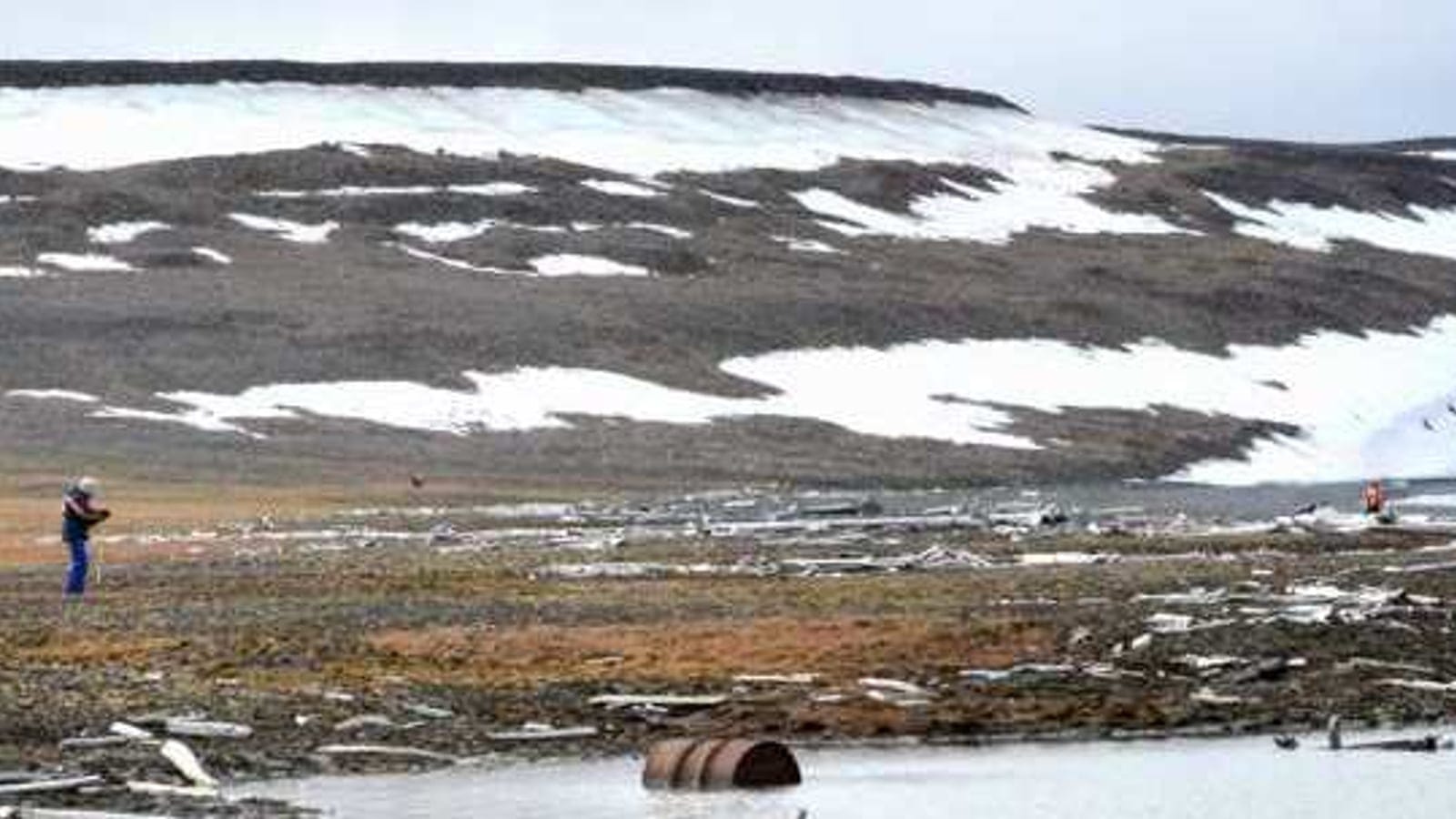 Snow patches and rust-coloured moss over gravel tundra with driftwood on Bennett Island, Russia.