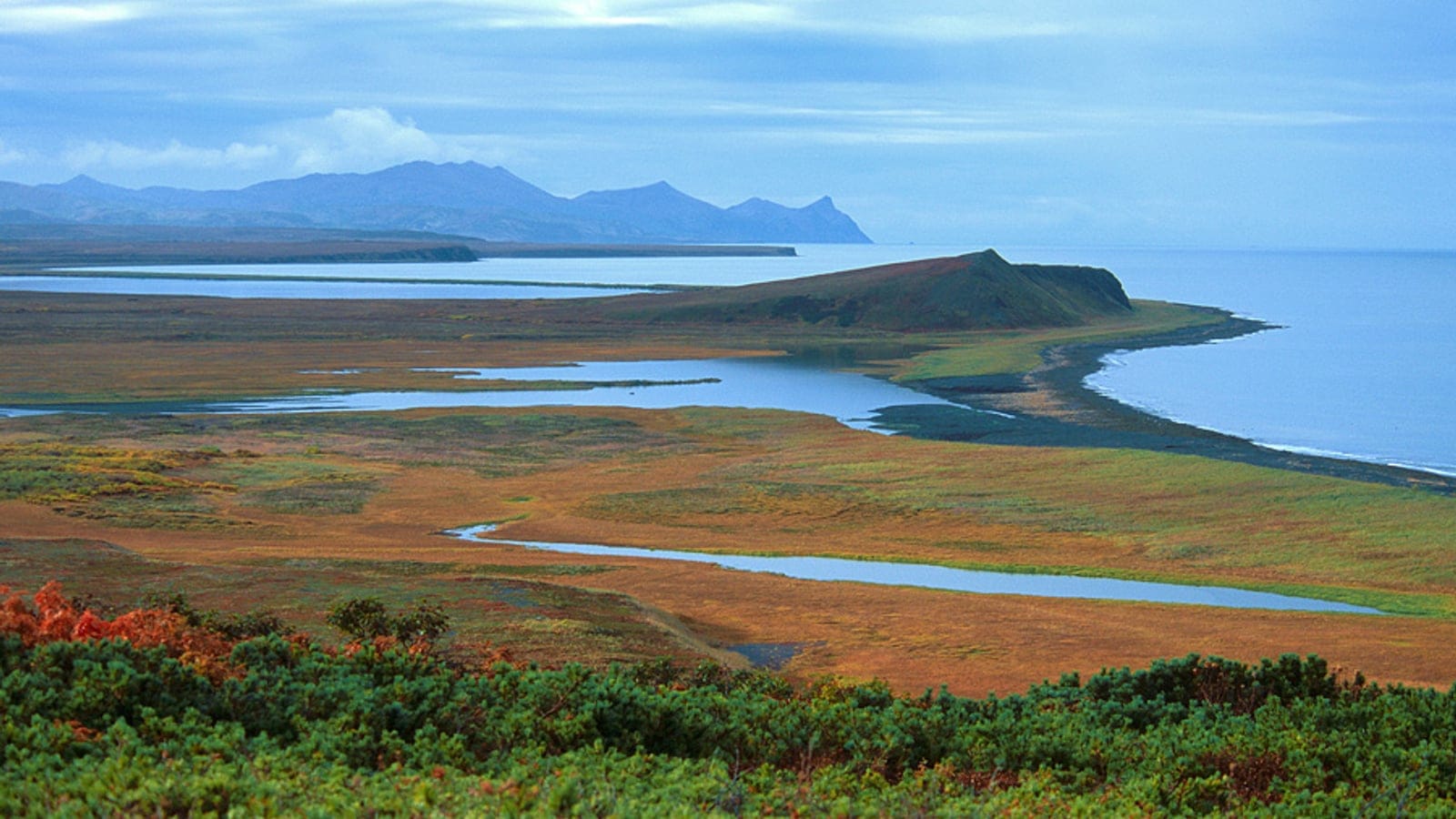 Autumn sedge tundra and coastal lagoons below distant mountains in Koryaksky Nature Reserve, Russia.