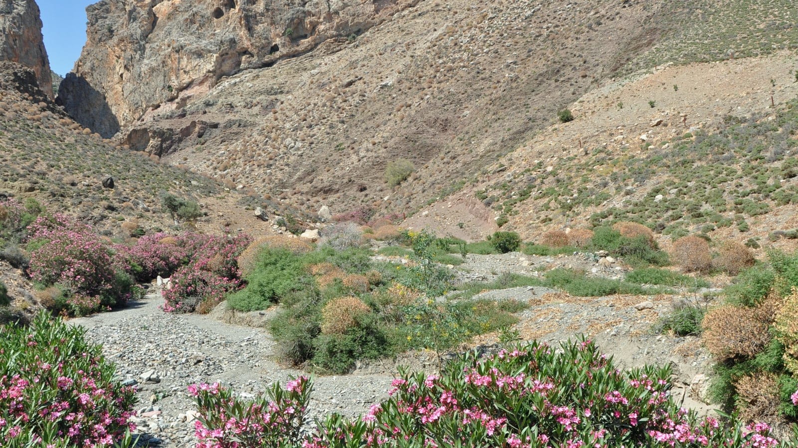 Mediterranean landscape on Crete.