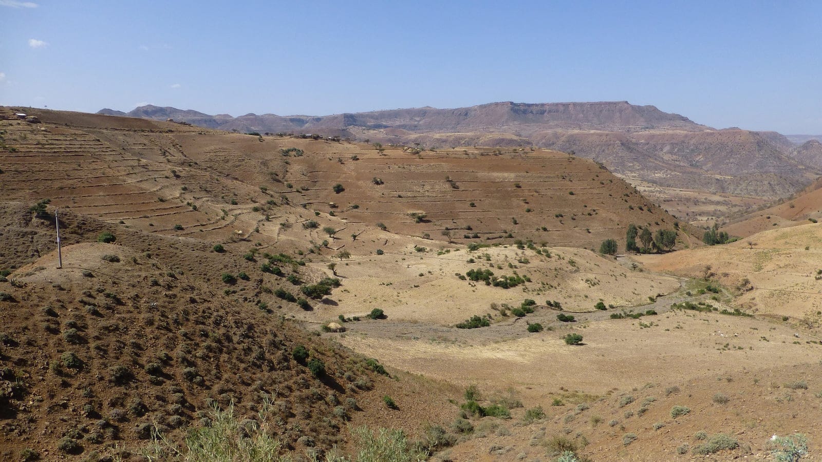 Ethiopian montane grasslands and open highland slopes north of Sekota.