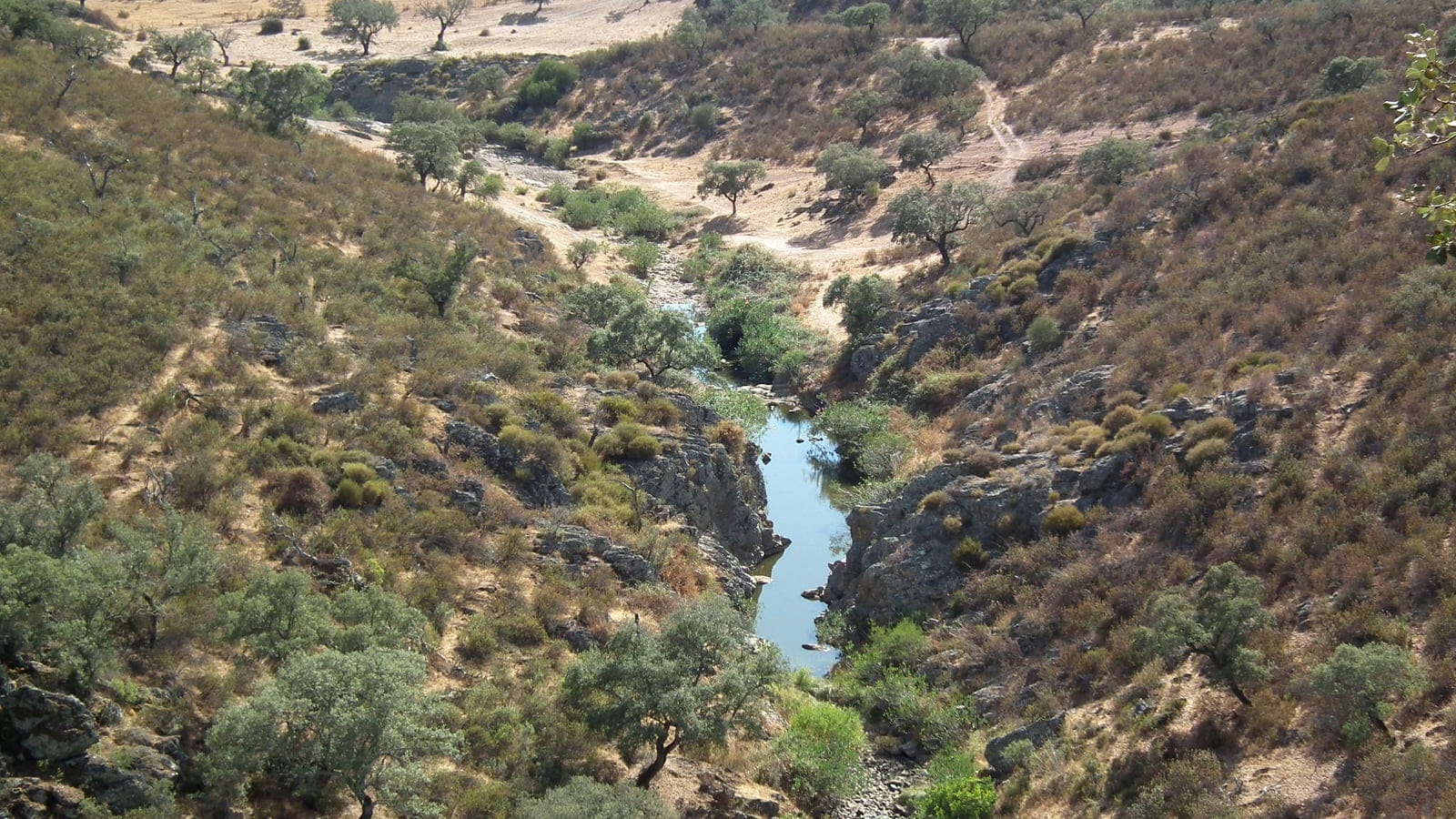 Evergreen oaks on dry slopes above a summer stream pool at Ribeira da Safareja, Portugal.