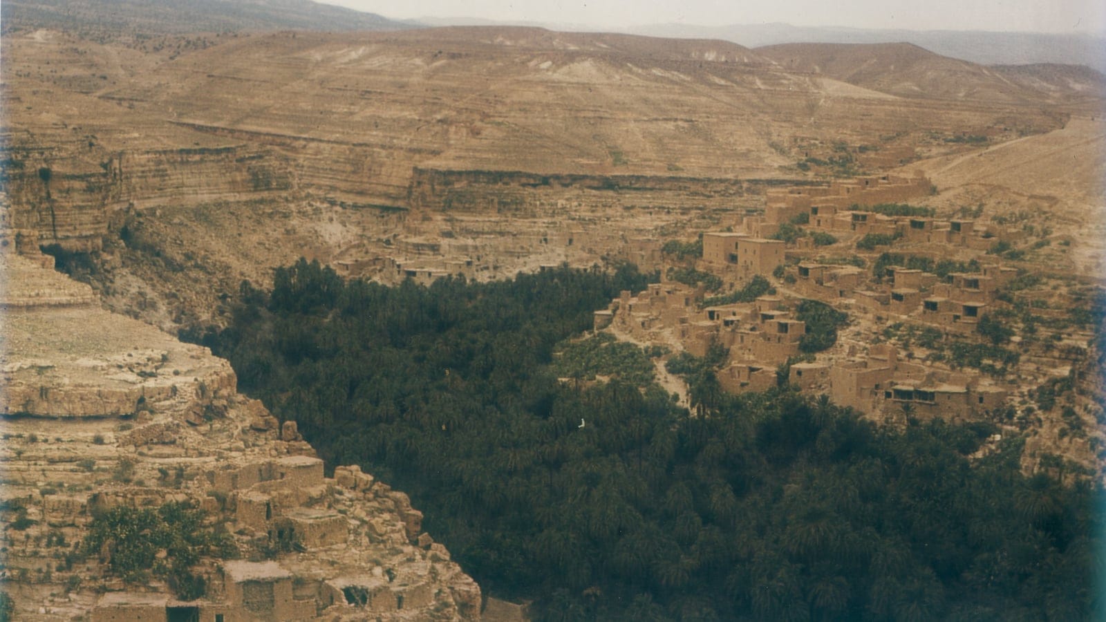 Date palm groves and a mudbrick village in a canyon near Biskra, Algeria.