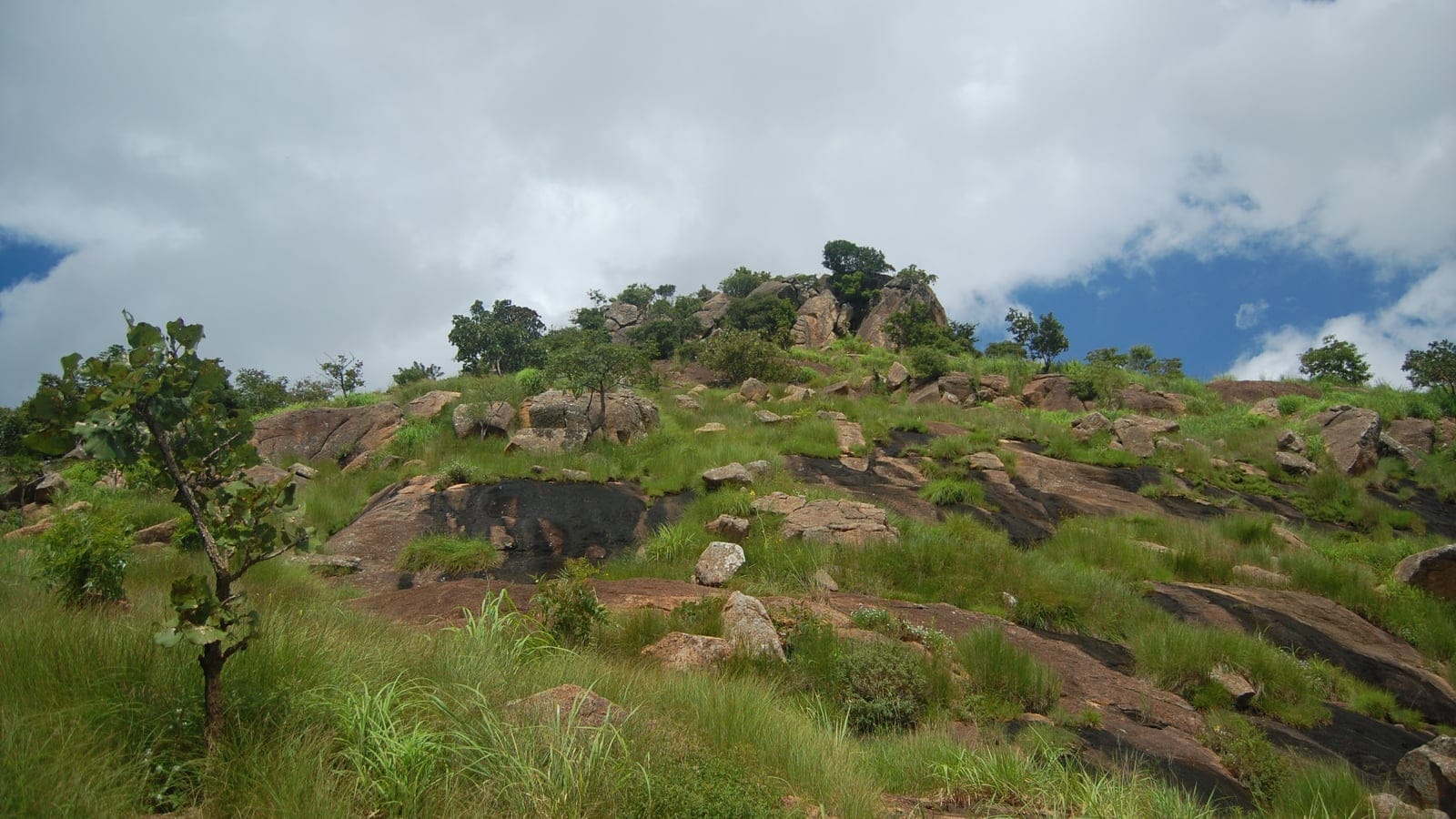 Grass and scattered trees over granite outcrops near Jos, Plateau State, Nigeria.
