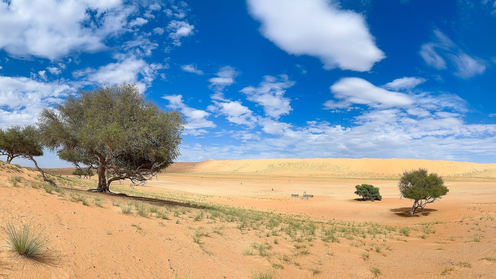 Wahiba Sands desert landscape with dunes and sparse fog-shrubland context in Oman.