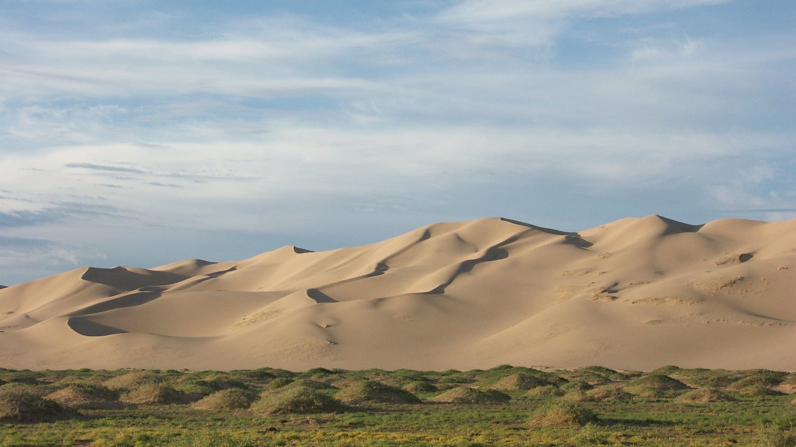 Khongoryn Els dunes rising behind a narrow band of grassy hummocks, southern Mongolia.