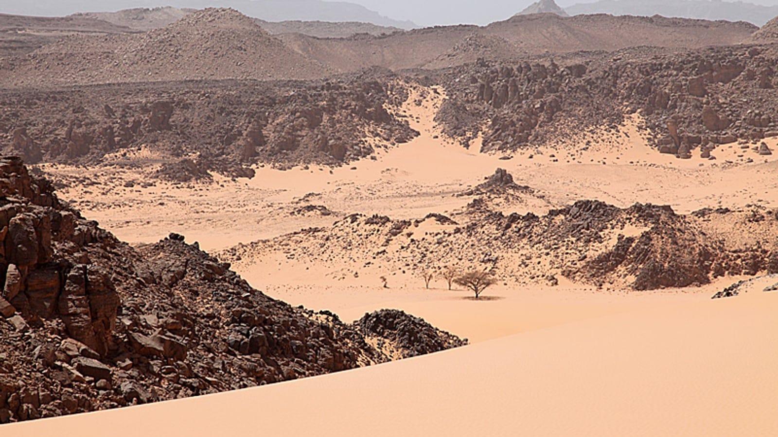 Pale sand sheet and dark eroded outcrops with a few acacias at Gebel Uweinat, Egypt and Sudan.