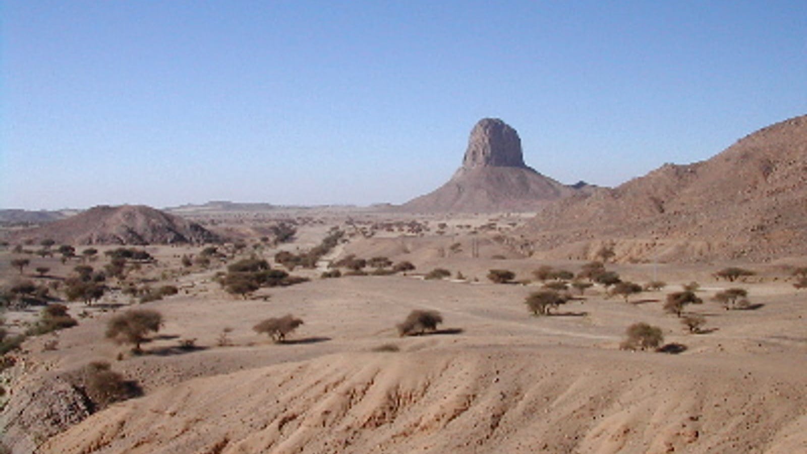 Scattered acacias on a stony sand plain below a dark volcanic plug, Hoggar, southern Algeria.