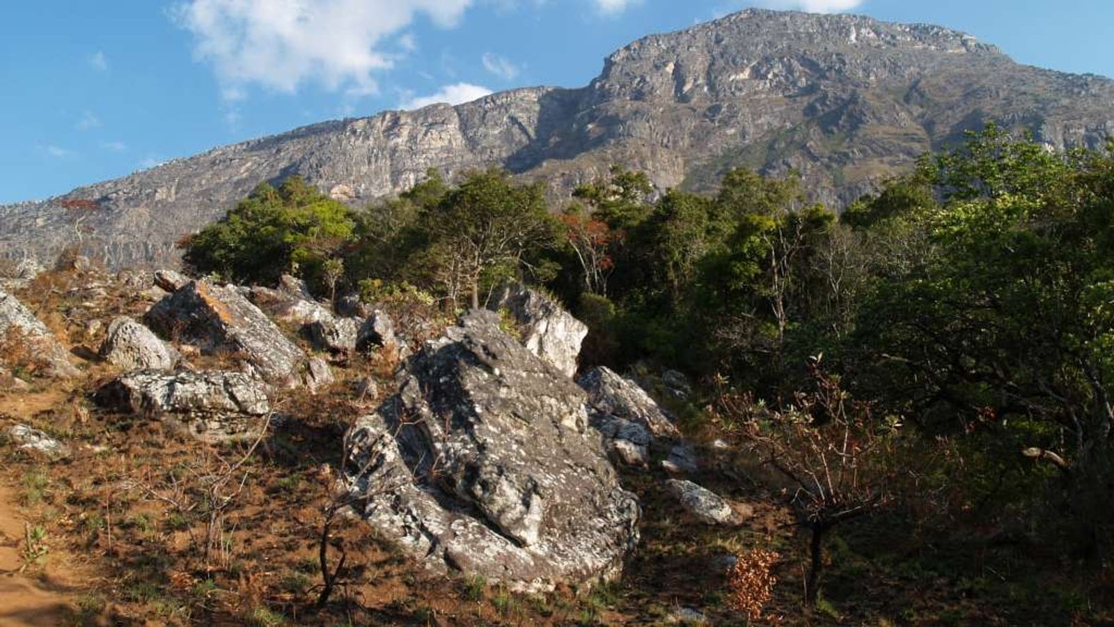 Quartzite boulders and montane scrub below the Chimanimani ridge, Mount Binga.
