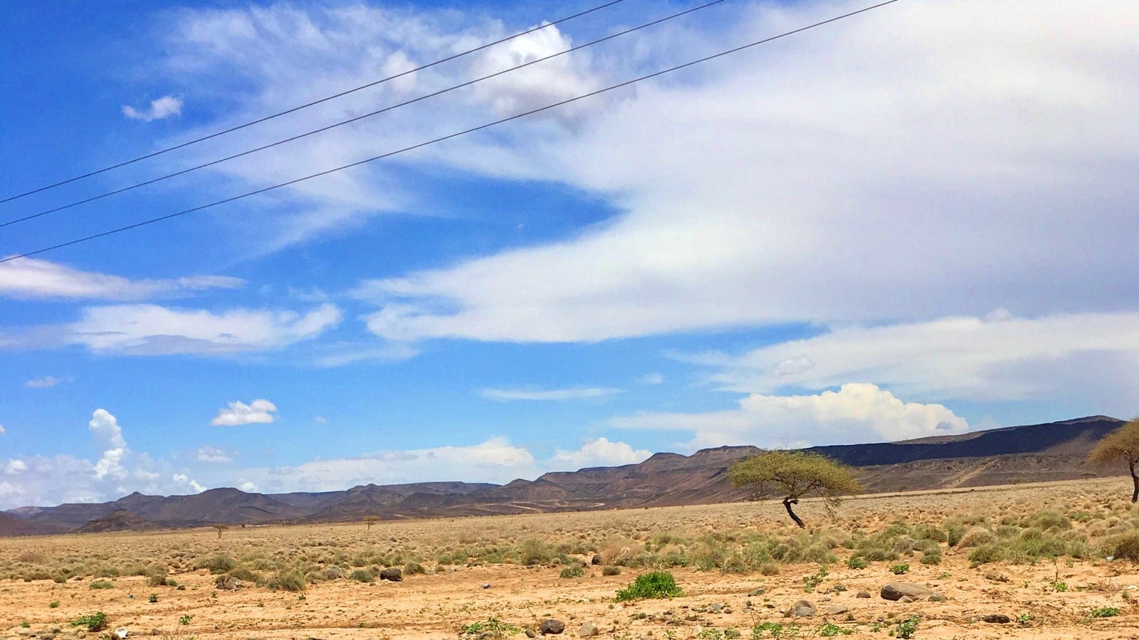 Arid sand-flat plain of the Grand Bara desert in southern Djibouti, sparse semi-desert grasses and scrub under open sky.